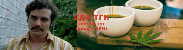 тгк Магас