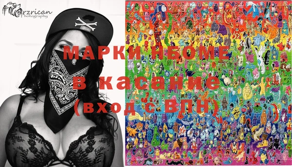 стафф Магадан