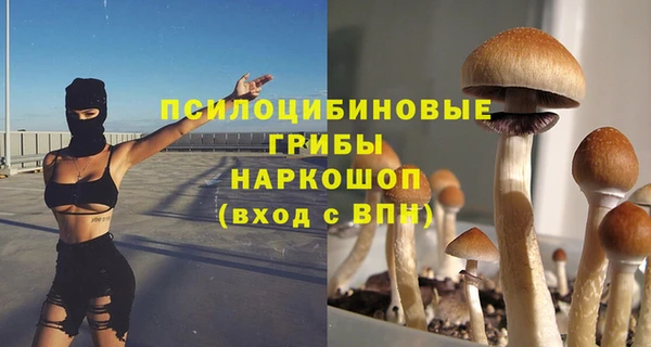 apvp Майский