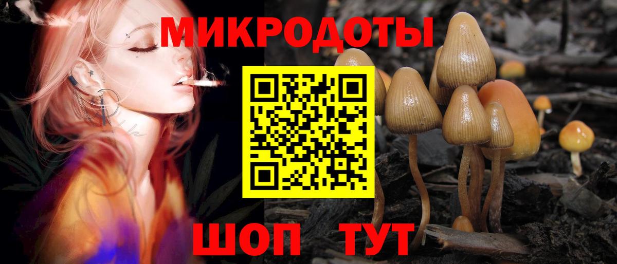Псилоцибиновые грибы Cubensis  магазин продажи наркотиков  Лесозаводск  Галлюциногенные грибы Magic Shrooms  Вход с VPN 