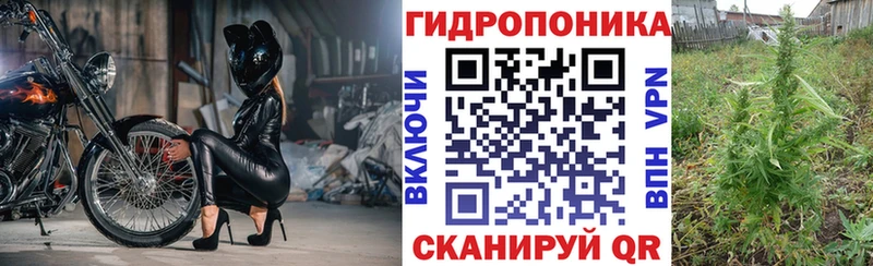 Марихуана Amnesia  Лесозаводск 
